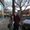Photo of Michelle G.