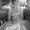 Photo of Rose C.