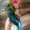 Photo of Sarah G.