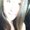Photo of Bridgette C.