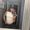 Photo of Nanci D.