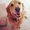 Photo of Krystal W.
