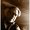 Photo of Bob B.