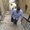 Photo of Ahmad F.