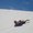 Photo of Tom D.