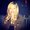 Photo of Marissa A.