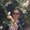 Photo of Valda J.