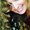 Photo of Amber P.
