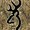 Photo of Cenic R.