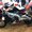 Photo of Nilesh N.