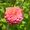 Photo of Jayne D.