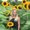 Photo of Samantha H.