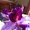 Photo of Prida C.