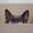 Photo of Jovia T.