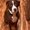 Photo of Rylee C.