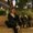 Photo of Kris N.