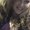 Photo of Leah M.