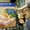 Photo of Jesse N.