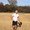 Photo of Jasen M.