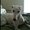 Photo of Beth F.