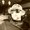 Photo of Chris G.