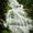 Photo of User 1.