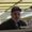 Photo of Luis Q.