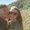 Photo of Kaitlyn T.