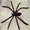 Photo of Qype User (InceyW…)