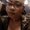 Photo of Yvonnjia B.