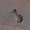 Photo of N N.