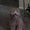 Photo of Oy O.