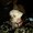Photo of Khloe M.