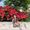 Photo of Araceli M.