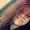 Photo of Brittany T.