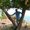 Photo of Bhargav S.