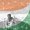Photo of Anant M.