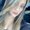 Photo of Ashley P.