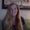 Photo of Liz P.