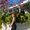 Photo of Ngoc M.