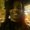 Photo of Wini M.