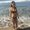 Photo of Carina M.
