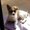 Photo of Pina B.