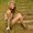 Photo of Breanne J.