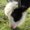 Photo of Tomme Marie T.