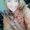 Photo of Cari T.