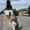 Photo of Judit C.
