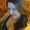 Photo of christine r.