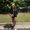 Photo of Kalena R.