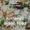 Photo of IndianFood D.